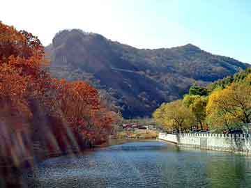 正新澳门二四六天天彩，各地鸽舍